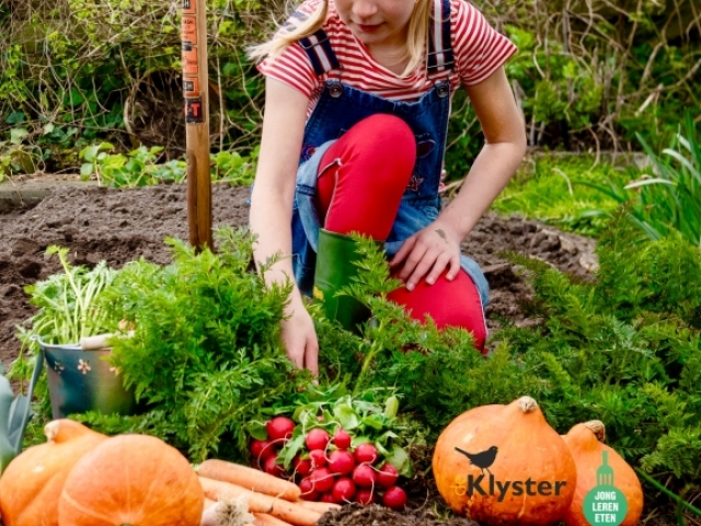 Miss Pumpkin - nieuw project van De Klyster